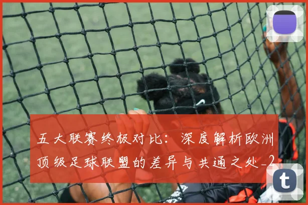 五大联赛终极对比:深度解析欧洲顶级足球联盟的差异与共通之处_20260611141804